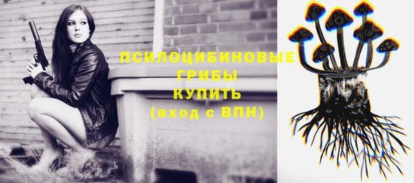 сатива Арсеньев